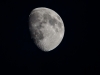 20150726DSC_7319