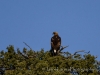 20140517DSC_5965