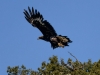 20140517DSC_5968
