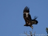 20140517DSC_5969