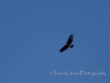 20140517DSC_5973