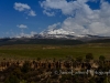 20140517DSC_5996