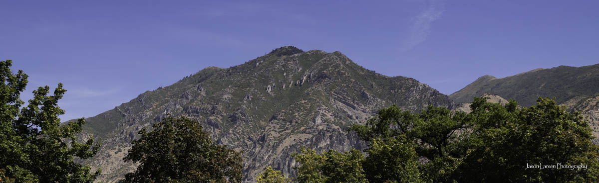 20260819-_DSC0826