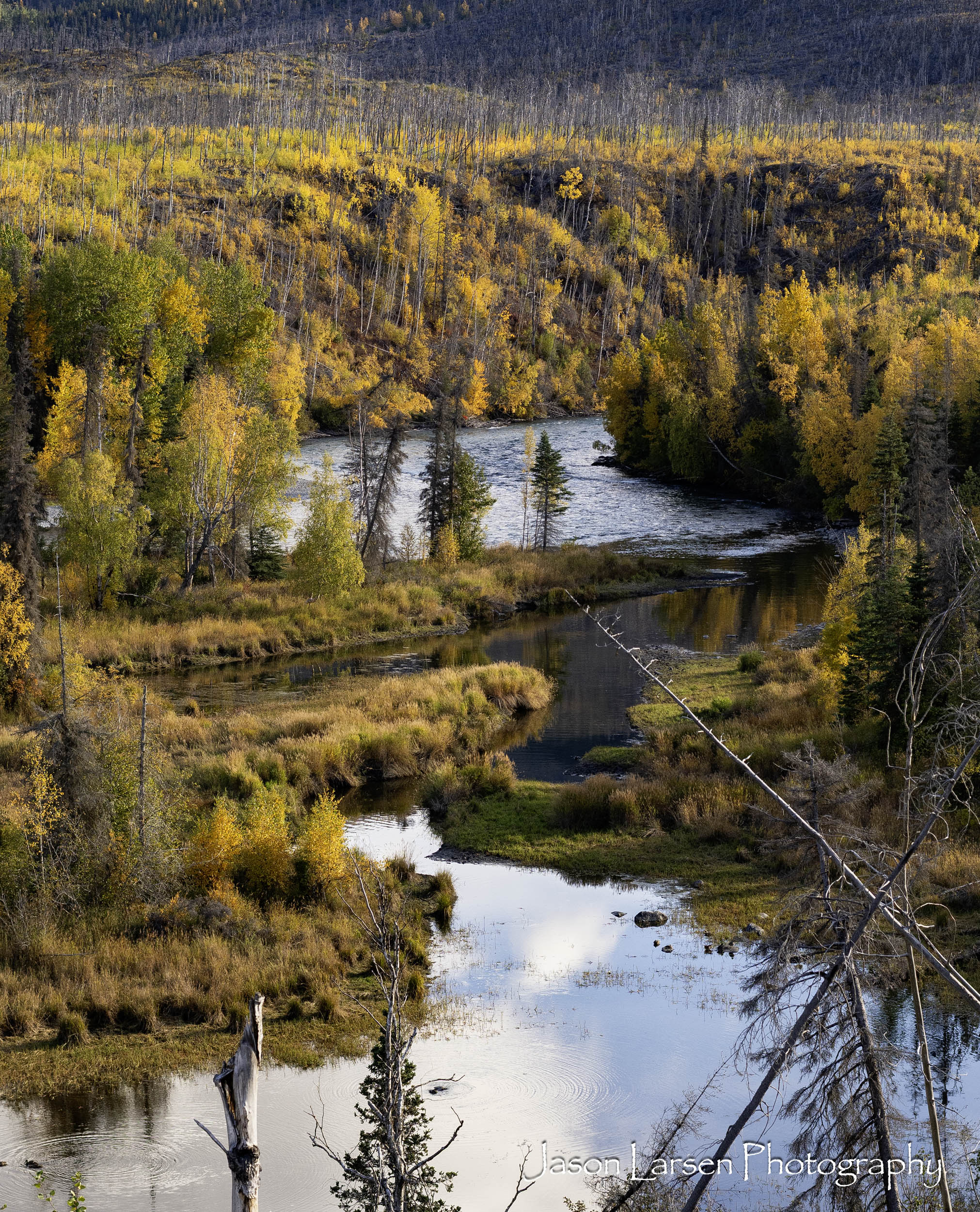 20260929-_DSC1880