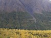 20260929-_DSC1579