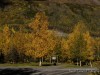 20260929-_DSC1872