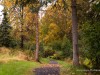 20250922-_DSC5082