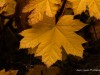 20250922-_DSC5083