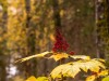 20250922-_DSC5085