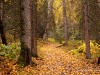 20250922-_DSC5088