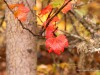 20250922-_DSC5089