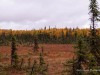 20250922-_DSC5090