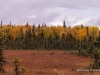 20250922-_DSC5091