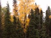 20250922-_DSC5094