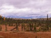 20250922-_DSC5096