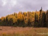20250922-_DSC5097