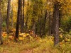 20250922-_DSC5098