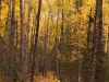 20250922-_DSC5100