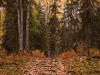 20250922-_DSC5104