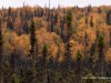 20250922-_DSC5106