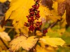 20250922-_DSC5111
