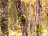20250922-_DSC5112