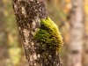 20250922-_DSC5113