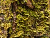 20250922-_DSC5114