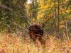 20250922-_DSC5117
