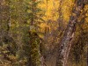 20250922-_DSC5120