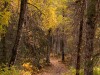 20250922-_DSC5121