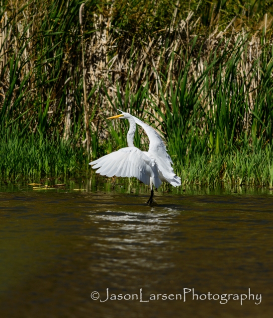 2013dsc_6204-jpg