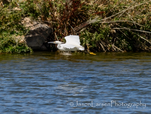 2013dsc_6274-jpg