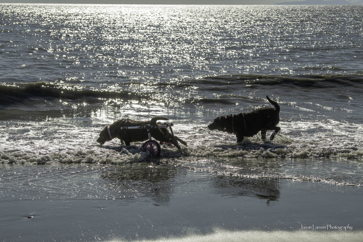 20260831-_DSC1086