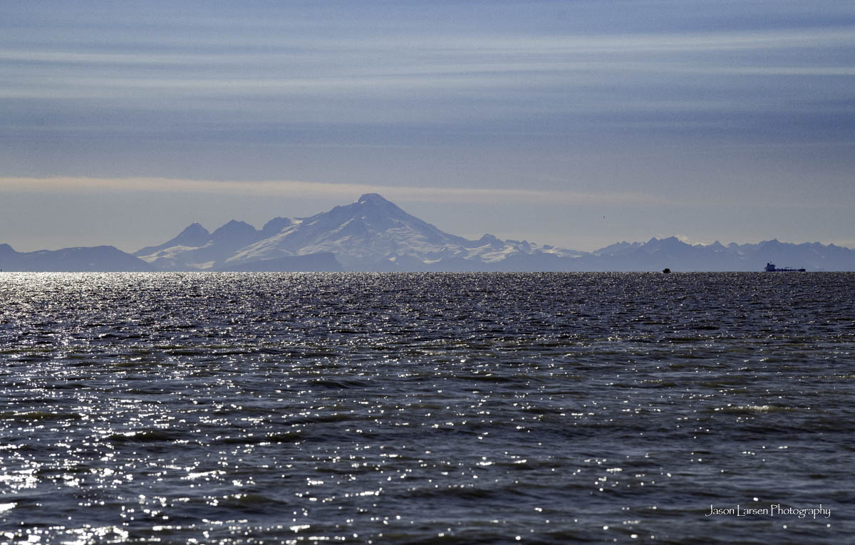 20260831-_DSC1281