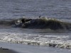 20260831-_DSC1153