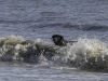 20260831-_DSC1158