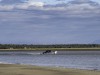 20260831-_DSC1236