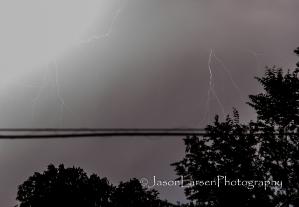 20140724DSC_9219