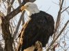 20140101dsc_0719