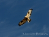 20140101dsc_0925