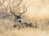 20140101dsc_1055