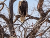 20140101dsc_1140