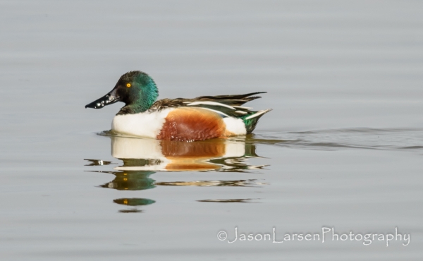 20140308DSC_3659