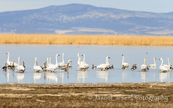20140308DSC_3815