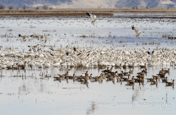 20140308DSC_3901