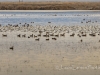 20140308DSC_3473