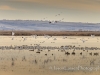 20140308DSC_3475
