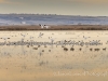 20140308DSC_3476