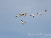 20140308DSC_3483